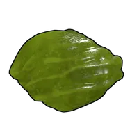 Acid Rock