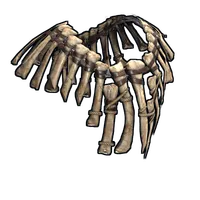Bone Armor Poncho