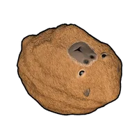 Capybara Rock