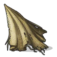 Cloth