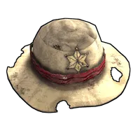 Cowboy Hat