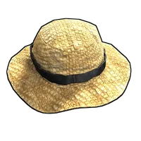Farmer Straw Hat
