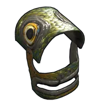 Fish Helmet