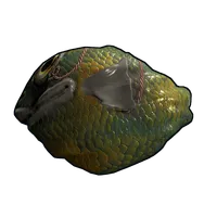 Fish Rock