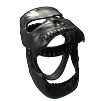 Funerary Helmet
