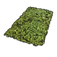 Grass Rug