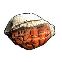 Hermit Crab Rock