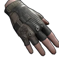 Loot Leader Gloves