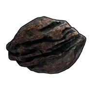 Meteorite