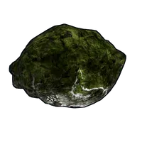 Mossy Fossil
