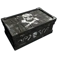 Pirate Large Box