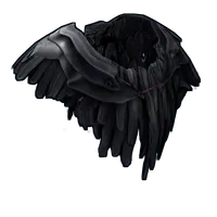 Raven Poncho
