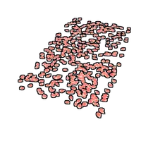 Rose Pedals Rug