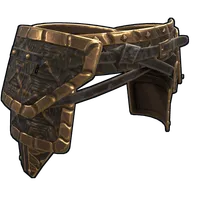 Snap Turtle Pants