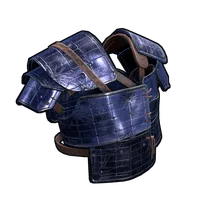 Solar Panel Vest