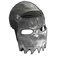 Stainless Facemask