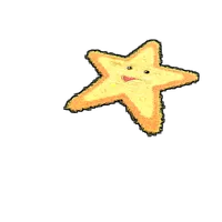 Starfish Rug