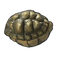 Tortoise Rock
