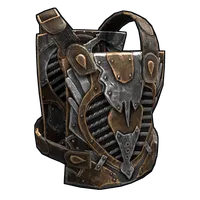 Wanderer's Chest Plate