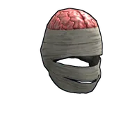 Wrapped Brain